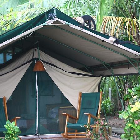 Rafiki Beach Camp Matapalo  Exteriér fotografie