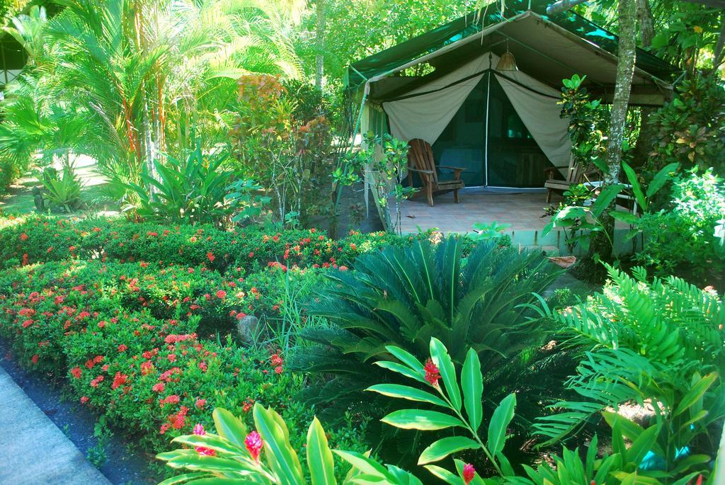 Rafiki Beach Camp Matapalo  Pokoj fotografie