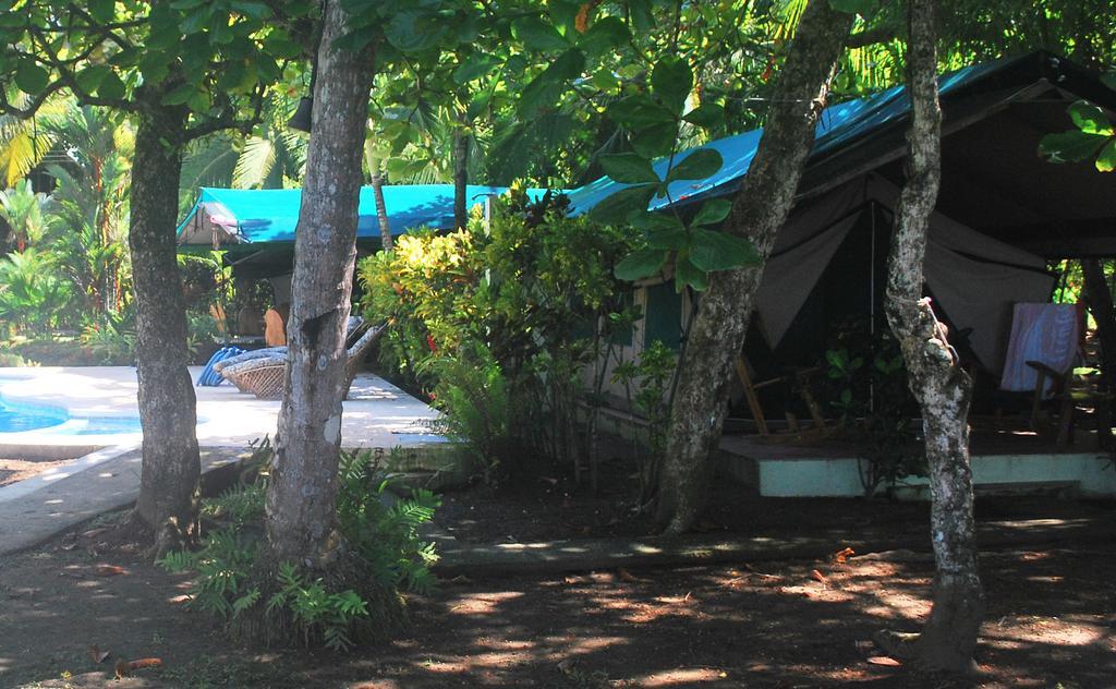 Rafiki Beach Camp Matapalo  Pokoj fotografie