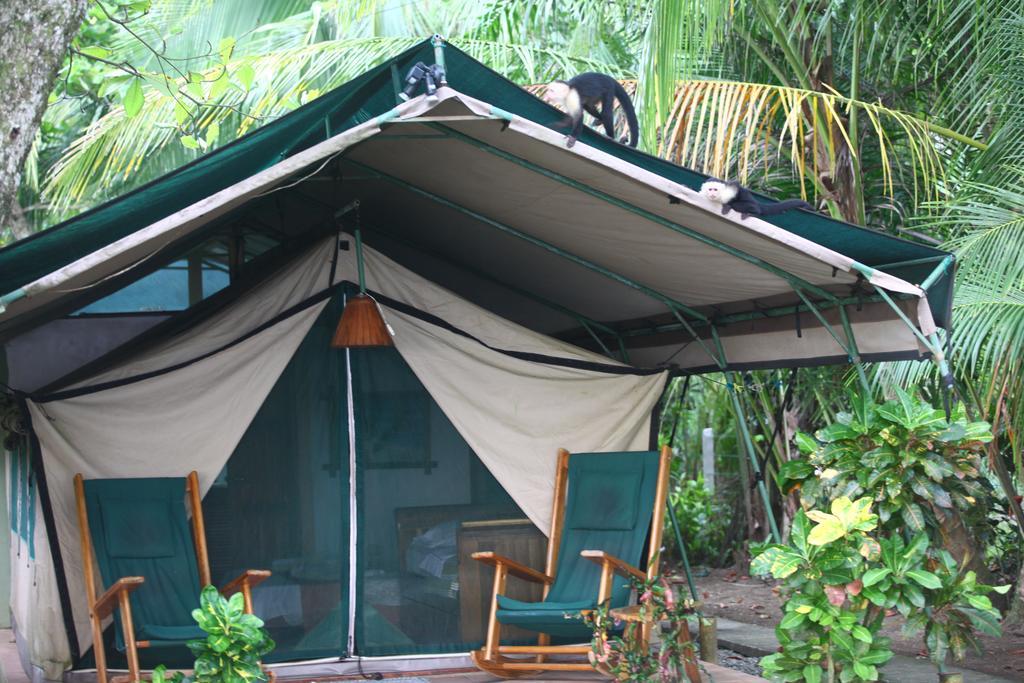 Rafiki Beach Camp Matapalo  Exteriér fotografie