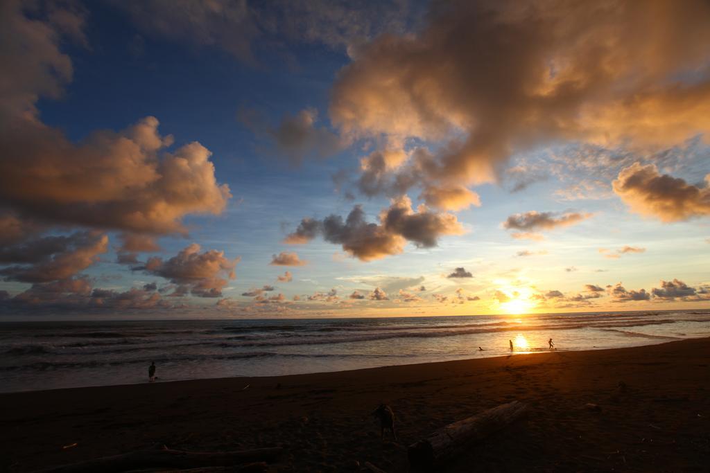 Rafiki Beach Camp Matapalo  Exteriér fotografie